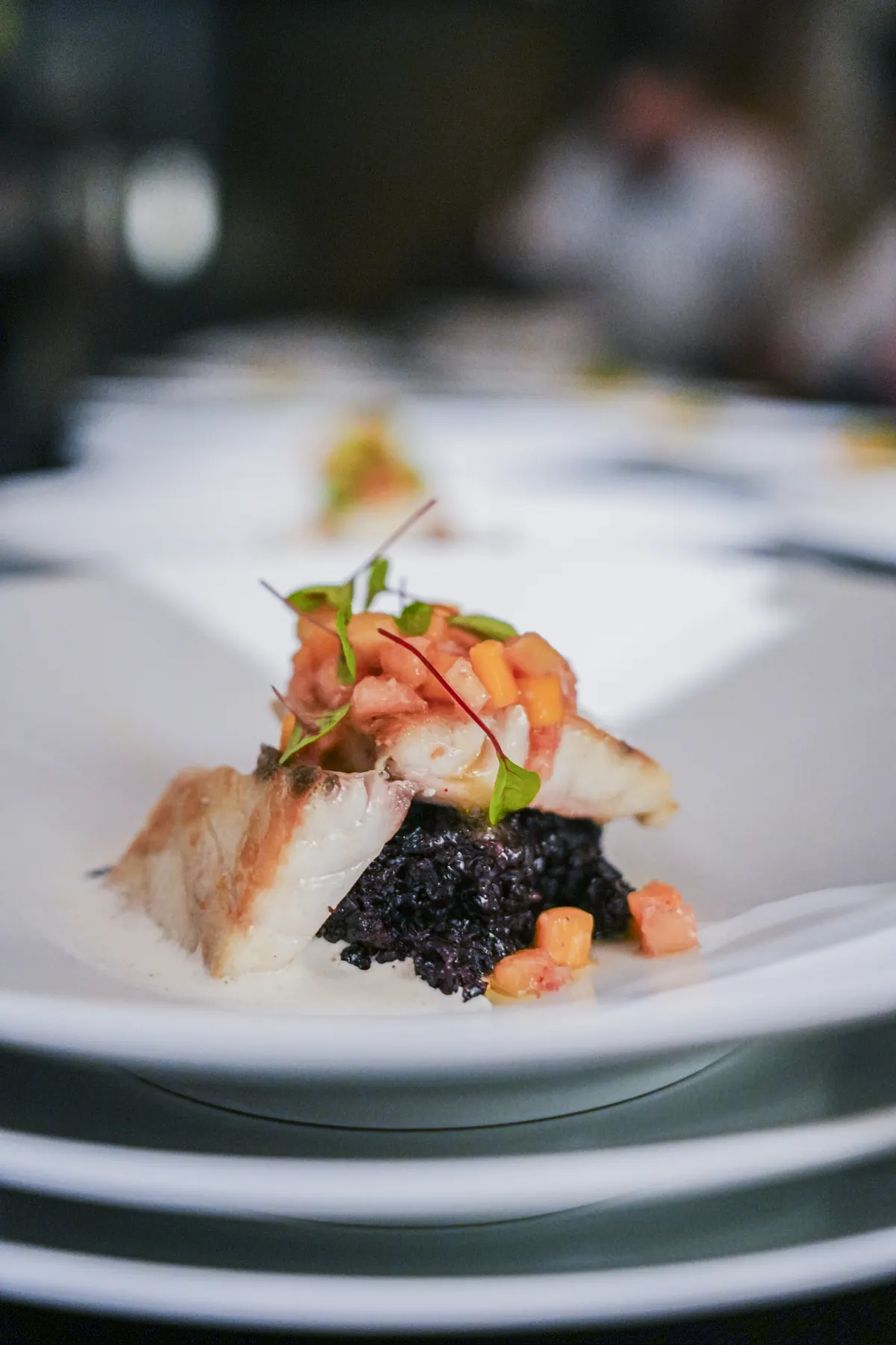 Filet de poisson nacré sur riz noir, dressé à l’assiette