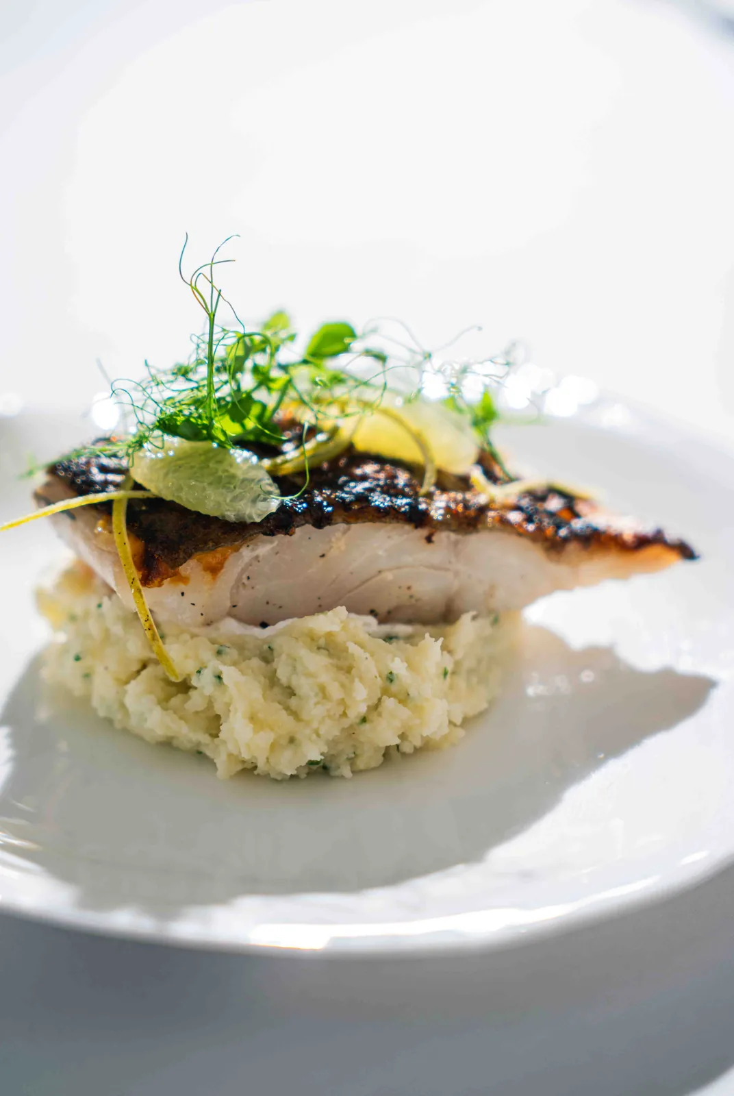 Poisson snacké