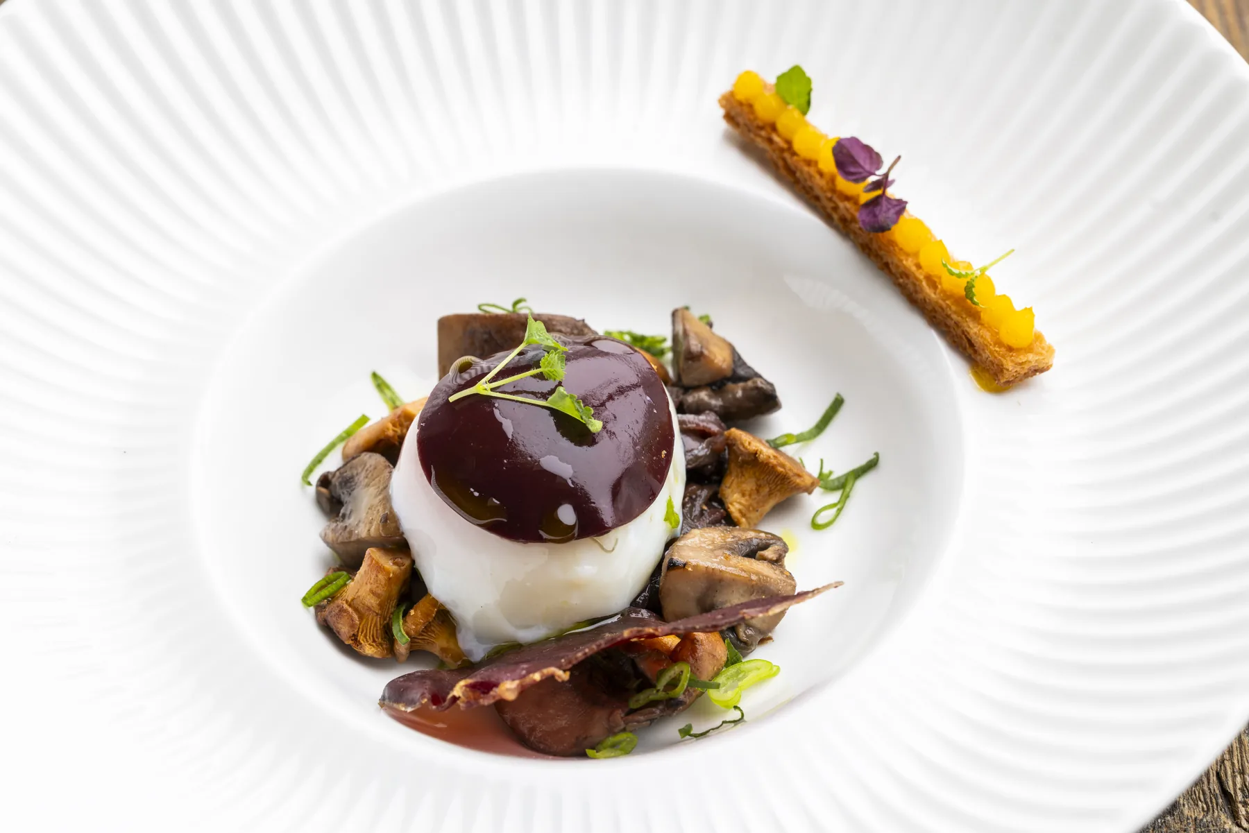 Champignons et demi-sphère